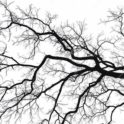 创业要怎么创业