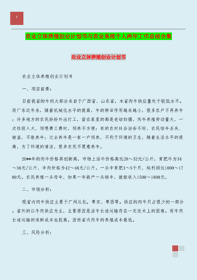 创业计划总结报告