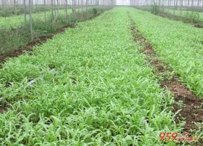 创业者的兴趣爱好